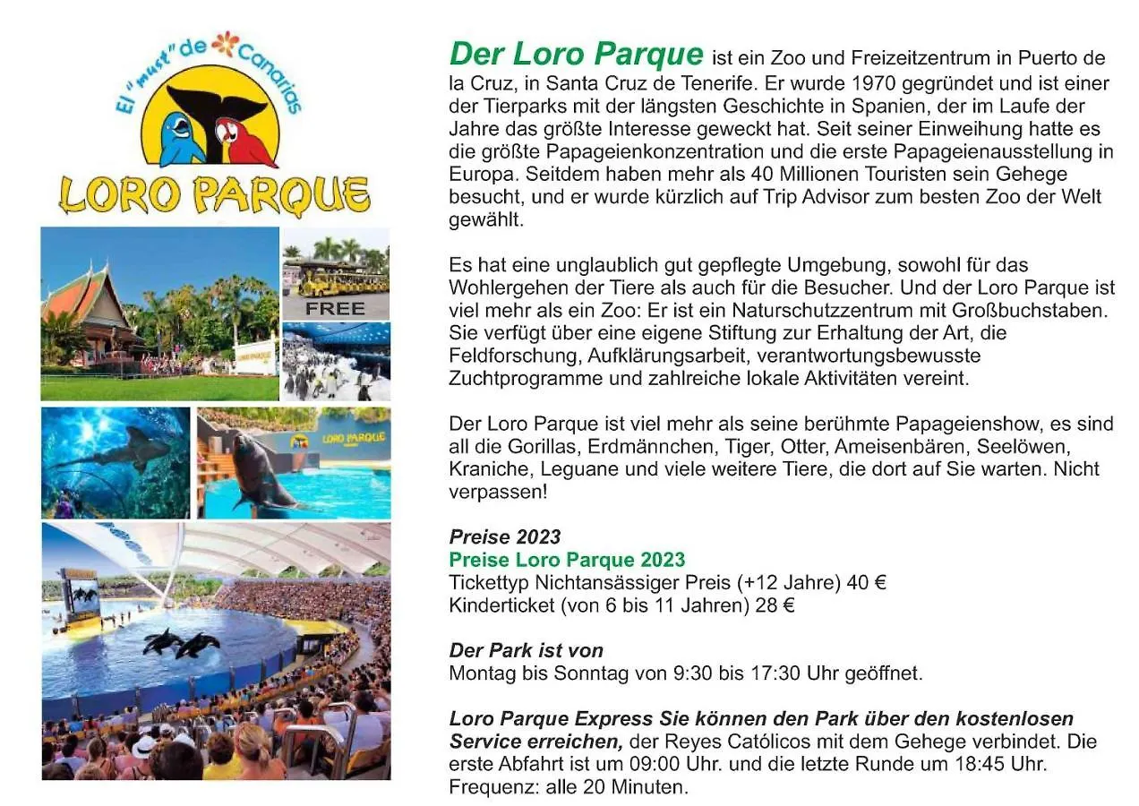 Puerto De La Cruz - Sun House - Holidays - Resort